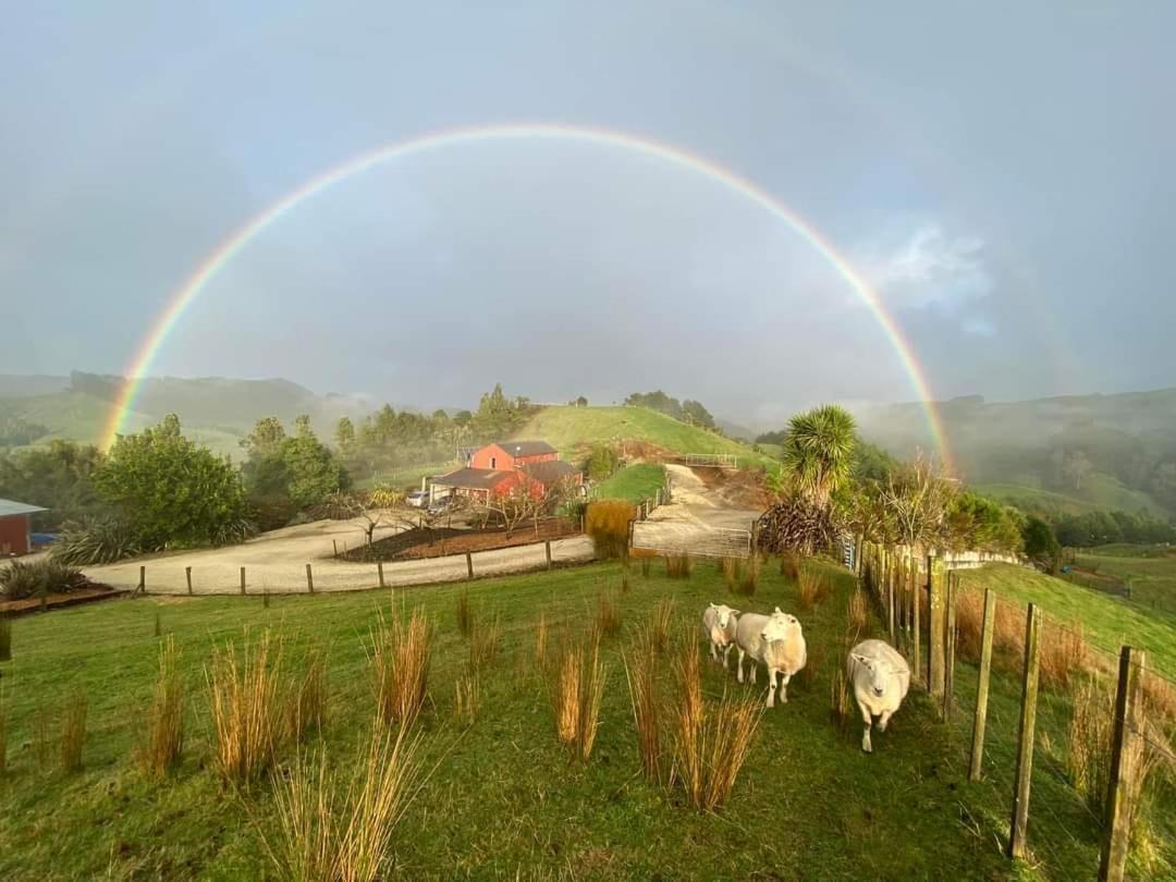 Nadarra Hideaway Bed & Breakfast Otorohanga Exterior foto